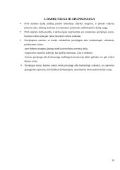 Statybos studijų programa. Baigiamosios praktikos ataskaita 10 puslapis