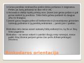 Kas yra rinkodara? 12 puslapis