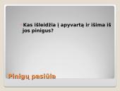 Pinigai ir bankai skaidrės 8 puslapis