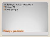 Pinigai ir bankai skaidrės 10 puslapis