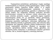 Tarptautinės prekybos modeliai ir reguliavimas 4 puslapis