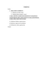 Verslo paslaugų, reklamos sektoriaus referatas 2 puslapis