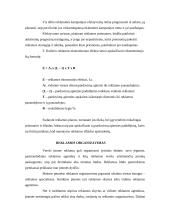 Verslo paslaugų, reklamos sektoriaus referatas 13 puslapis