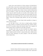 Verslo paslaugų, reklamos sektoriaus referatas 9 puslapis