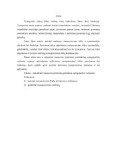 Transporto priemonės pasirinkimą sąlygojantys veiksniai 2 puslapis