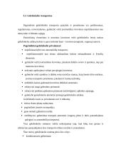 Transporto priemonės pasirinkimą sąlygojantys veiksniai 12 puslapis