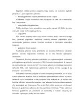 Transporto priemonės pasirinkimą sąlygojantys veiksniai 13 puslapis