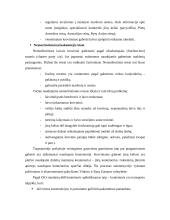 Transporto priemonės pasirinkimą sąlygojantys veiksniai 15 puslapis