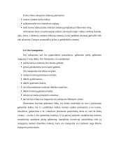 Transporto priemonės pasirinkimą sąlygojantys veiksniai 17 puslapis