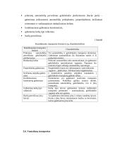 Transporto priemonės pasirinkimą sąlygojantys veiksniai 19 puslapis