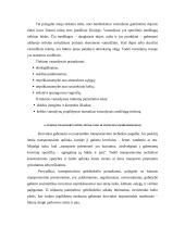 Transporto priemonės pasirinkimą sąlygojantys veiksniai 20 puslapis