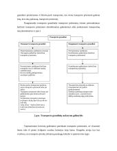 Transporto priemonės pasirinkimą sąlygojantys veiksniai 6 puslapis