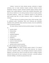 Transporto priemonės pasirinkimą sąlygojantys veiksniai 7 puslapis