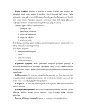 Transporto priemonės pasirinkimą sąlygojantys veiksniai 8 puslapis