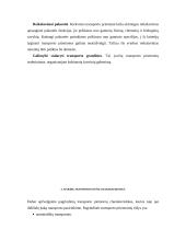 Transporto priemonės pasirinkimą sąlygojantys veiksniai 9 puslapis