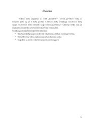 Krovinių pervežimo praktikos ataskaita 14 puslapis