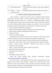 UAB „Kitoks stiklas“ verslo planas 11 puslapis