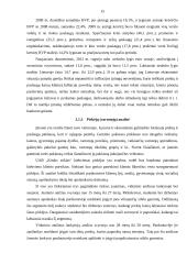 UAB „Kitoks stiklas“ verslo planas 15 puslapis