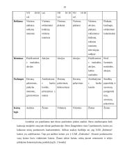 UAB „Kitoks stiklas“ verslo planas 19 puslapis