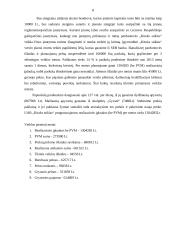 UAB „Kitoks stiklas“ verslo planas 8 puslapis