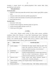 UAB „Kitoks stiklas“ verslo planas 10 puslapis