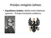 Plieninis kancleris suvienija Vokietiją 14 puslapis