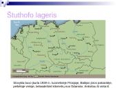 Balys Sruoga romanas “Dievų miškas”  11 puslapis