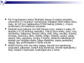 Balys Sruoga romanas “Dievų miškas”  13 puslapis