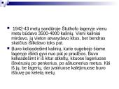 Balys Sruoga romanas “Dievų miškas”  14 puslapis