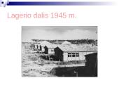 Balys Sruoga romanas “Dievų miškas”  20 puslapis