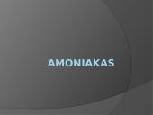 Azotas ir amoniakas 7 puslapis