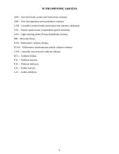 Audi A6 1997m. ABS sistemos tyrimas 6 puslapis