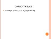 Jautri oda ir jos priežastys 2 puslapis