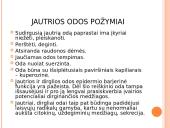 Jautri oda ir jos priežastys 8 puslapis