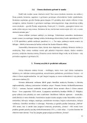 Ozono sluoksnis 12 puslapis