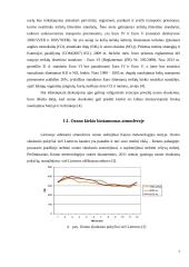 Ozono sluoksnis 7 puslapis