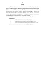 Kaimo turizmo organizavimas Klaipėdos raj. 3 puslapis