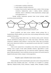 Kaimo turizmo organizavimas Klaipėdos raj. 5 puslapis