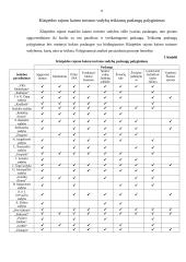 Kaimo turizmo organizavimas Klaipėdos raj. 8 puslapis