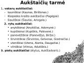 Lietuviu kalbos tarmės skaidrės 6 puslapis