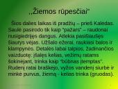 Gamta ,, Metuose“ 13 puslapis