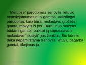 Gamta ,, Metuose“ 15 puslapis