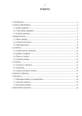 UAB „Maišeliai“ verslo planas 2 puslapis