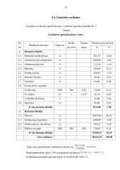 UAB „Maišeliai“ verslo planas 12 puslapis