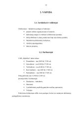 UAB „Maišeliai“ verslo planas 13 puslapis