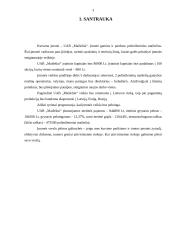 UAB „Maišeliai“ verslo planas 3 puslapis