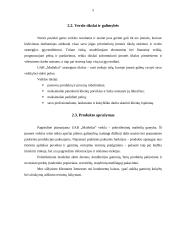 UAB „Maišeliai“ verslo planas 5 puslapis