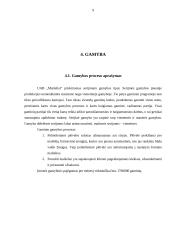 UAB „Maišeliai“ verslo planas 9 puslapis