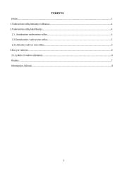 Vadovavimo stiliaus analizė 2 puslapis