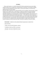 Vadovavimo stiliaus analizė 3 puslapis